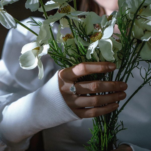 Violet - Image 4